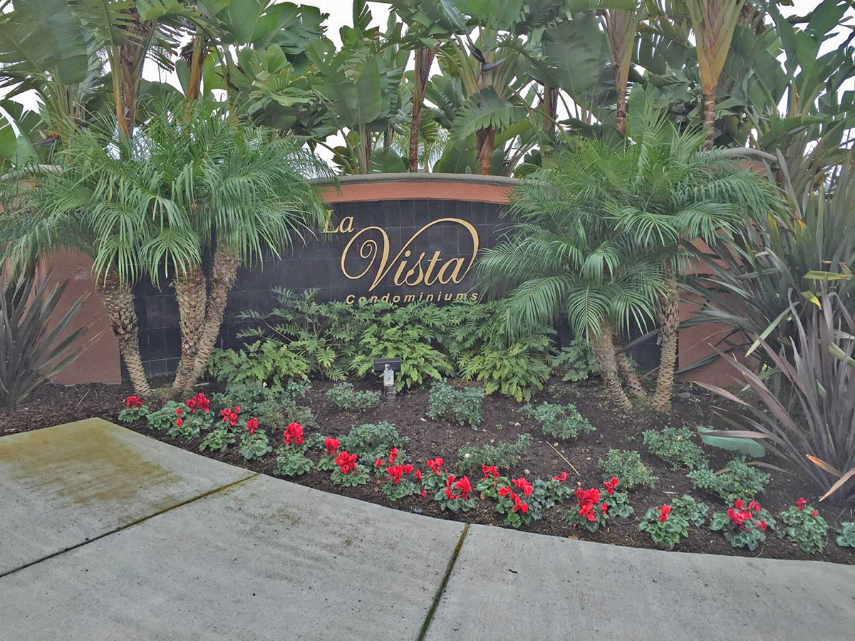 Summit La Vista